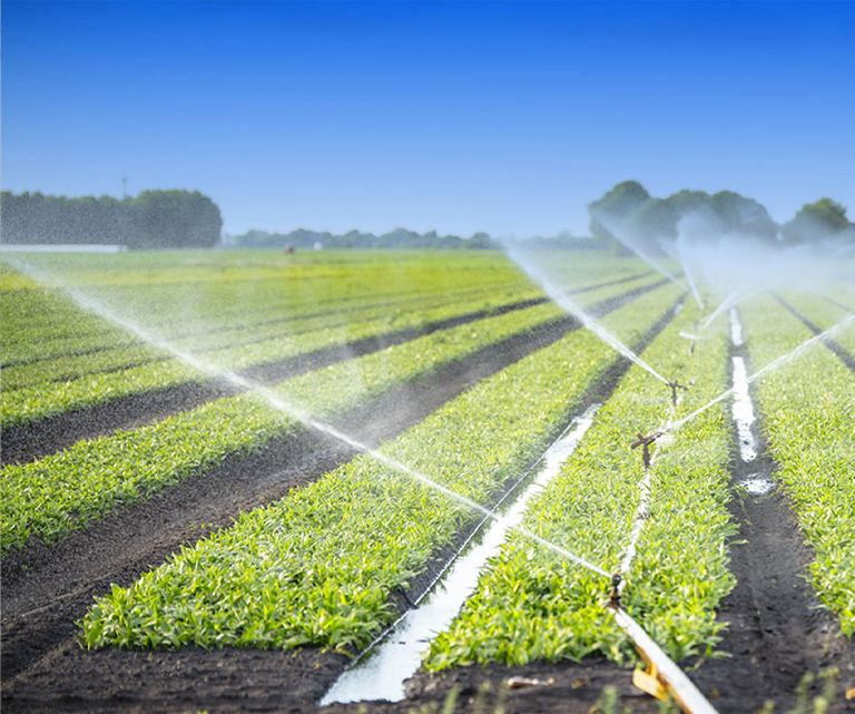 Tarımsal Yangından Korunma