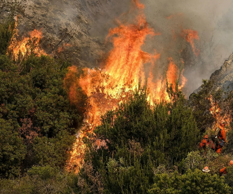 Orman Yangınından Korunma
