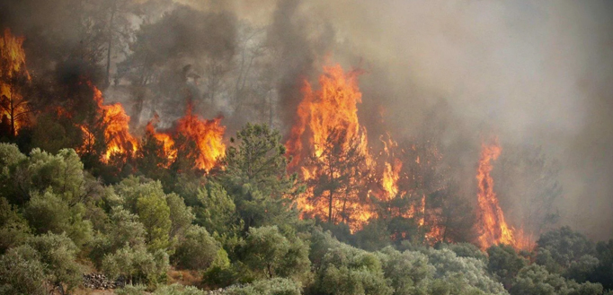 Taizhou Jun'an Yangın Teknolojisi Co, Ltd